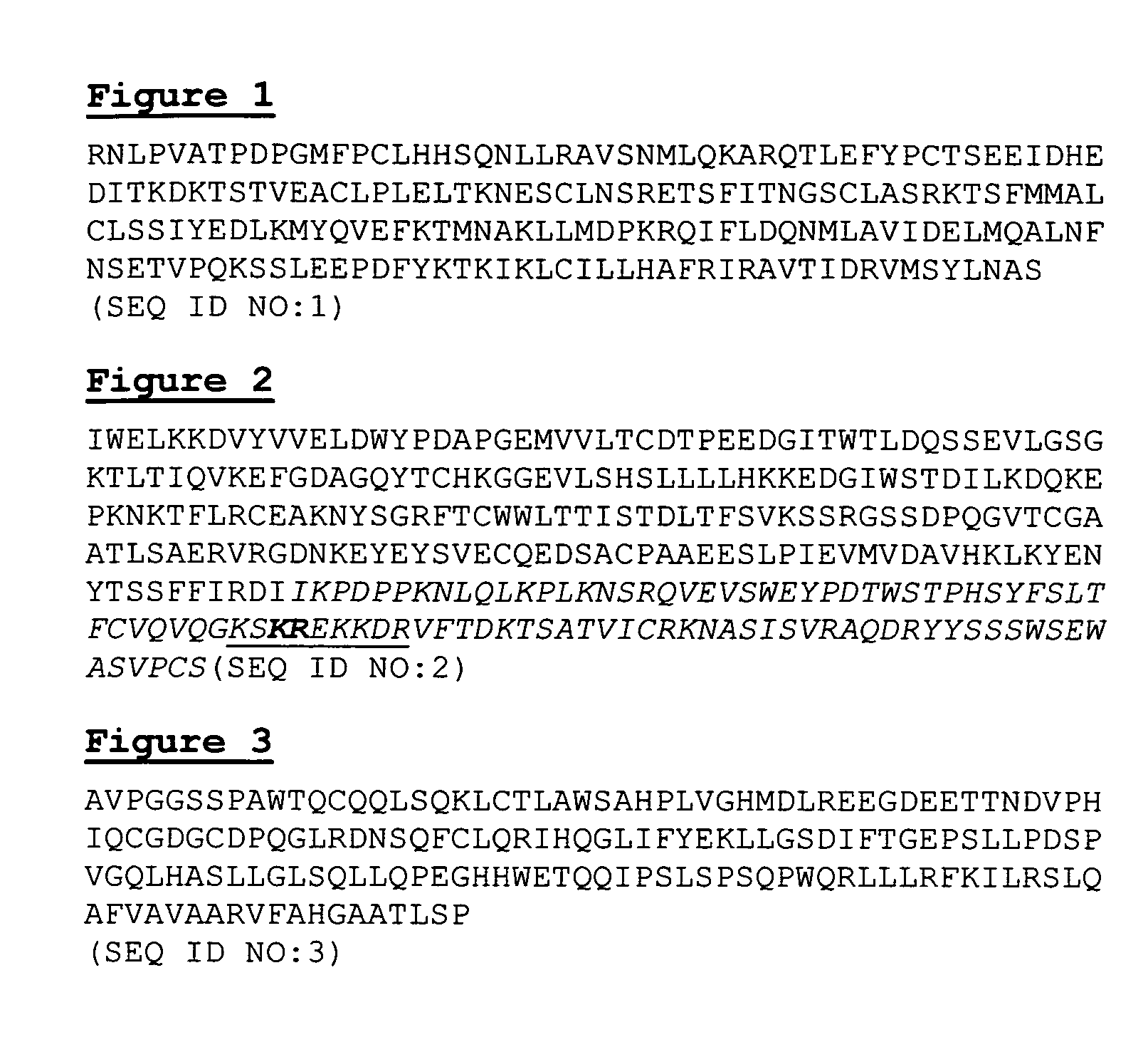 Interleukin-12p40 variants with improved stability