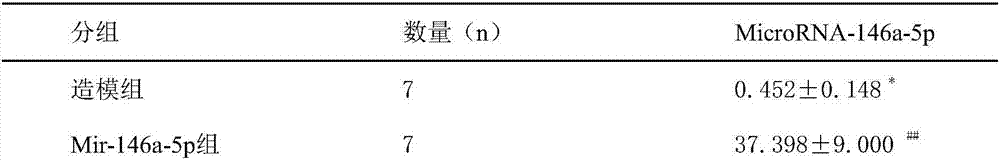 Application of mir-146a-5p to treating visceral hypersensitivity of irritable bowel syndrome