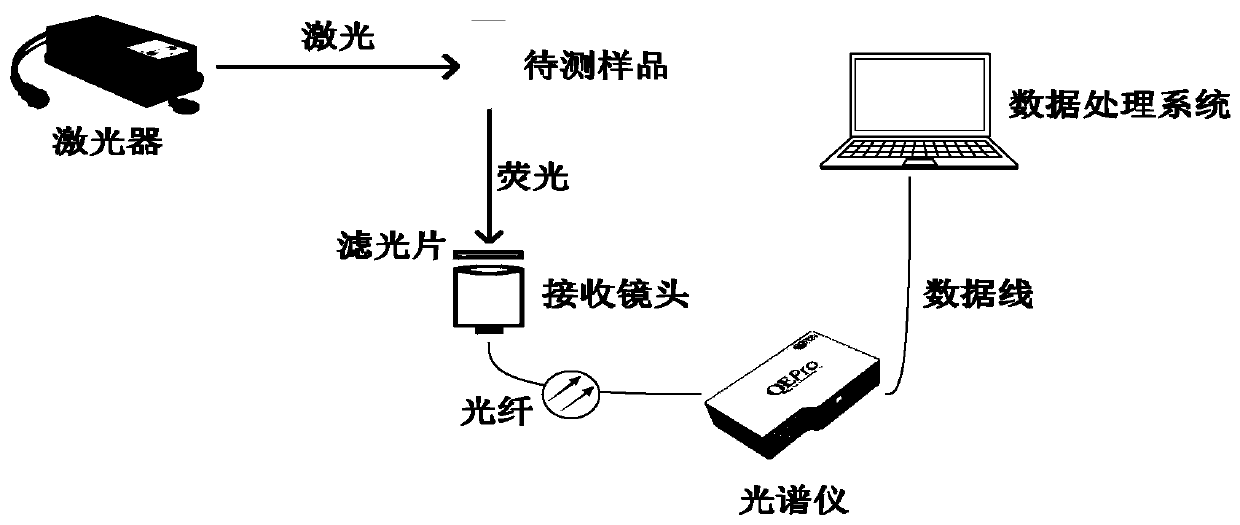 Honey detection method based on laser-induced fluorescence spectrum and detection device thereof