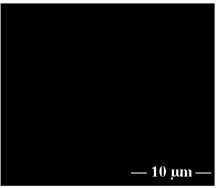 Method for bonding carboxymethyl chitosan bioactive molecules on surface of magnesium alloy