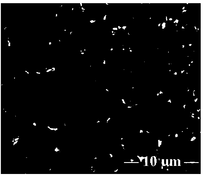 Method for bonding carboxymethyl chitosan bioactive molecules on surface of magnesium alloy