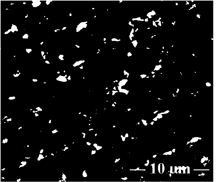 Method for bonding carboxymethyl chitosan bioactive molecules on surface of magnesium alloy