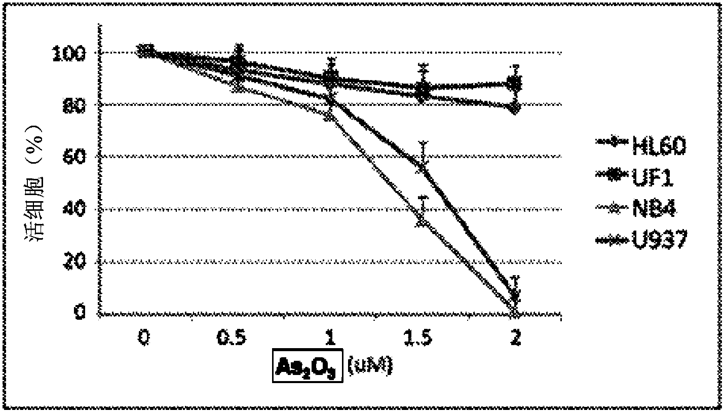 Use of pegylated recombinant human arginase for treatment of leukemia