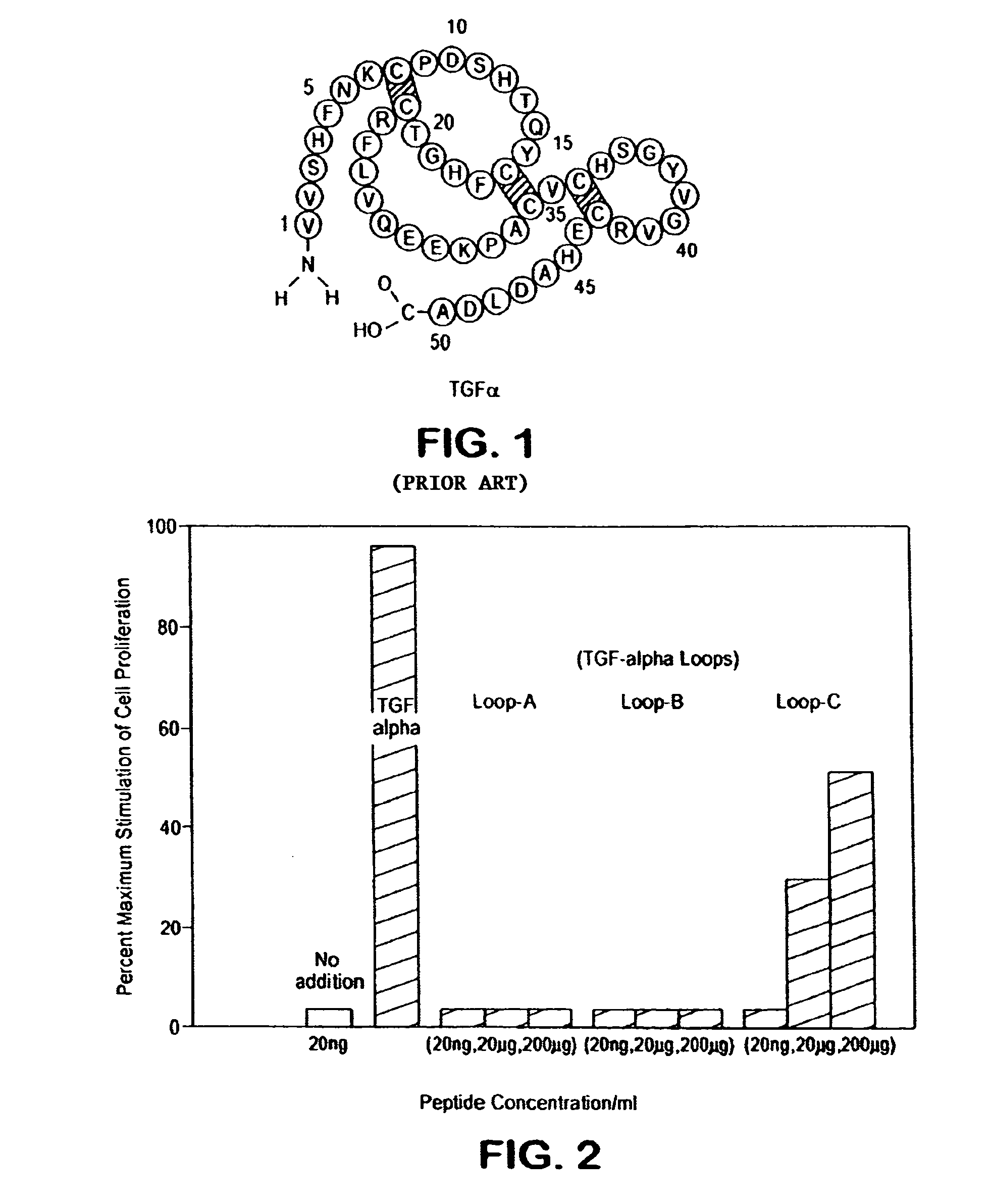 Loop peptide and TGFalpha for stimulating stem cell proliferation and migration