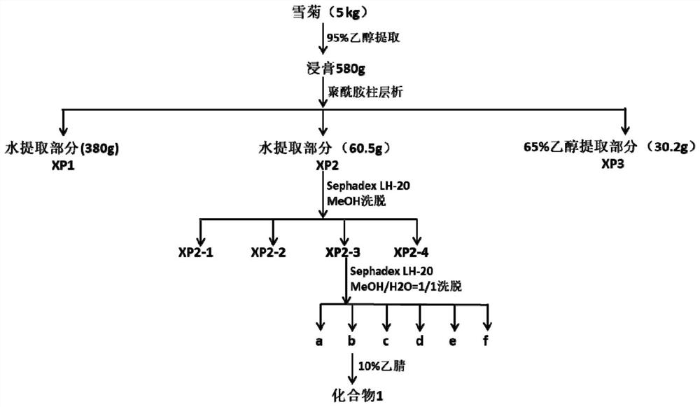 Application of a flavonoid compound in snow chrysanthemum and its pharmaceutical composition in the preparation of medicines for treating acute pancreatitis