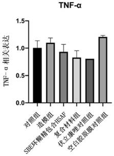 Medical material for treating fungal keratitis and preparation method thereof