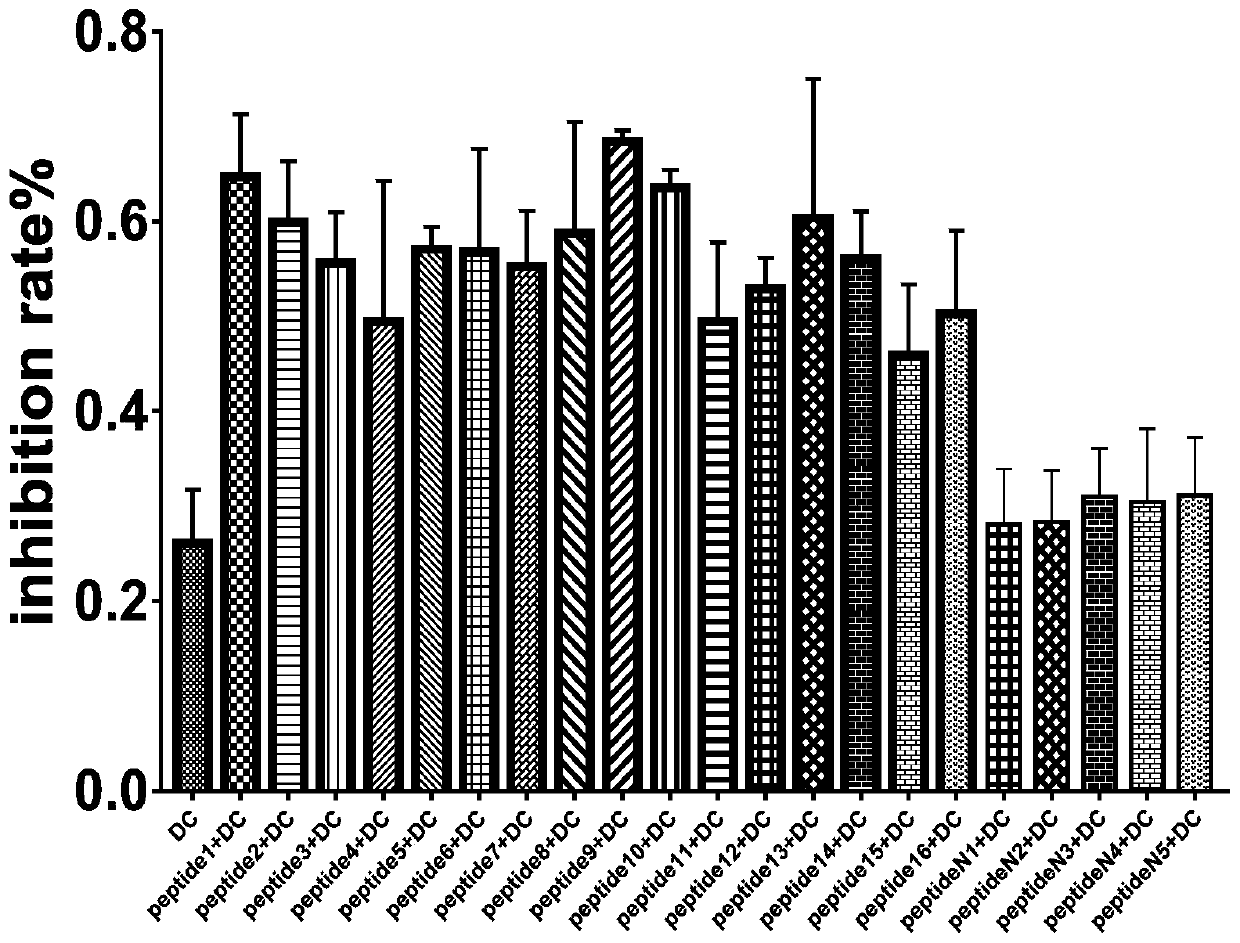 Herpes simplex virus relevant antigen short chain polypeptide and application thereof