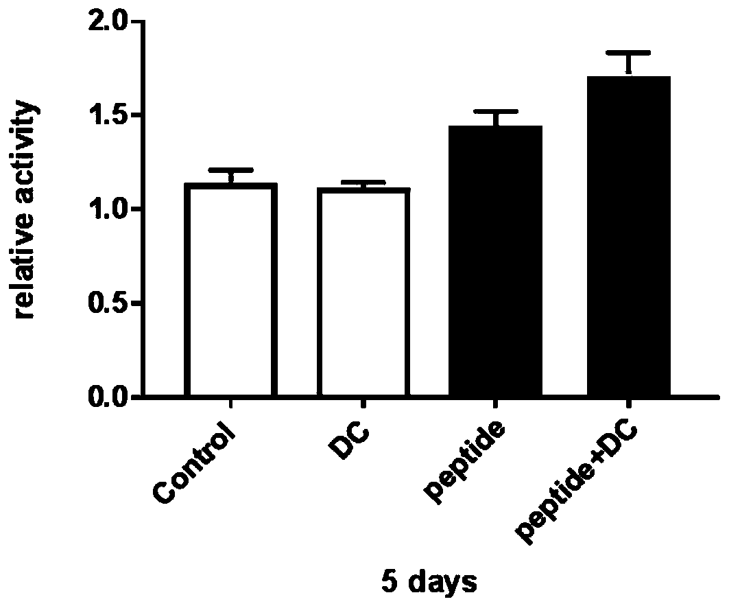 Herpes simplex virus relevant antigen short chain polypeptide and application thereof