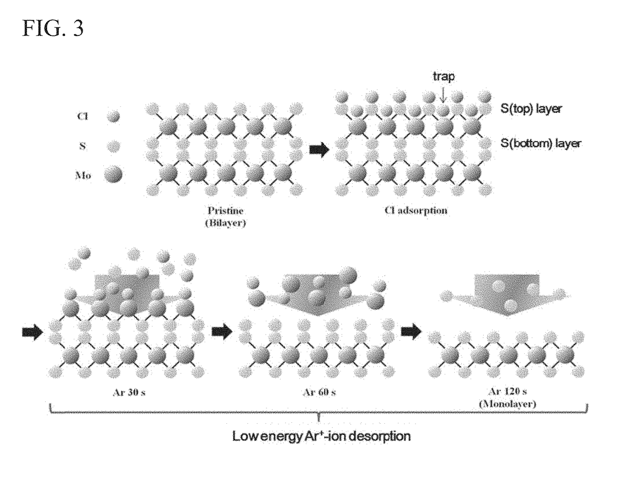 Semiconductor device, photoelectronic device, and method for manufacturing transistion-metal dichalcogenide thin film