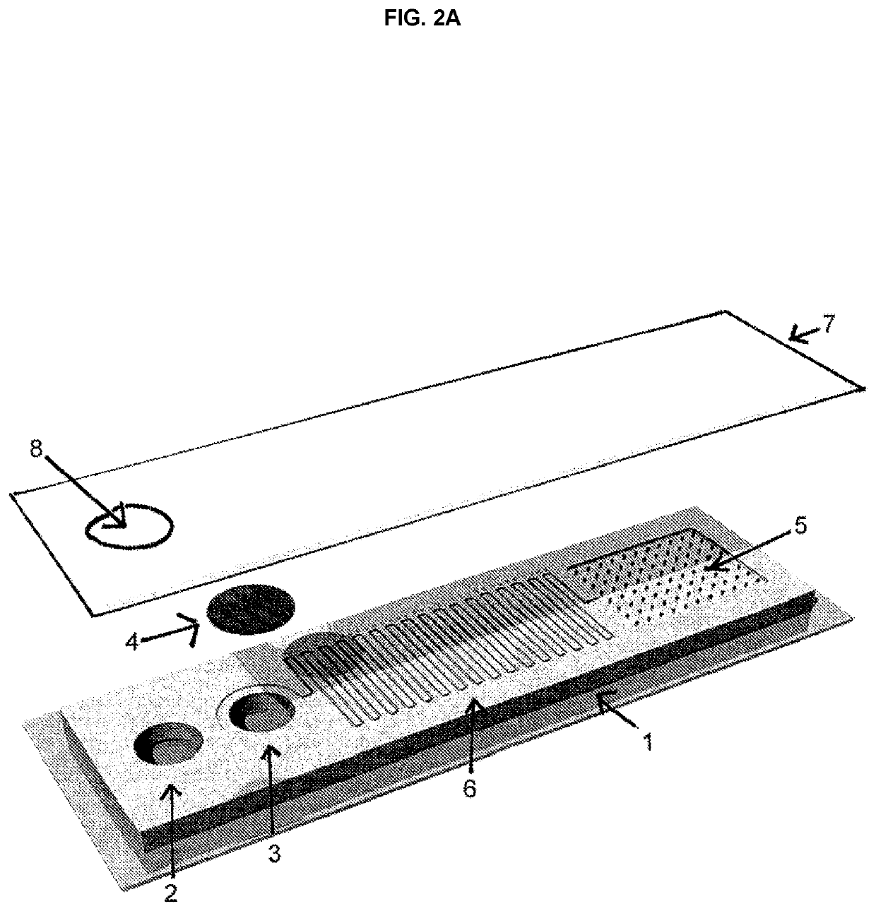 Hemolysis-free blood plasma separation