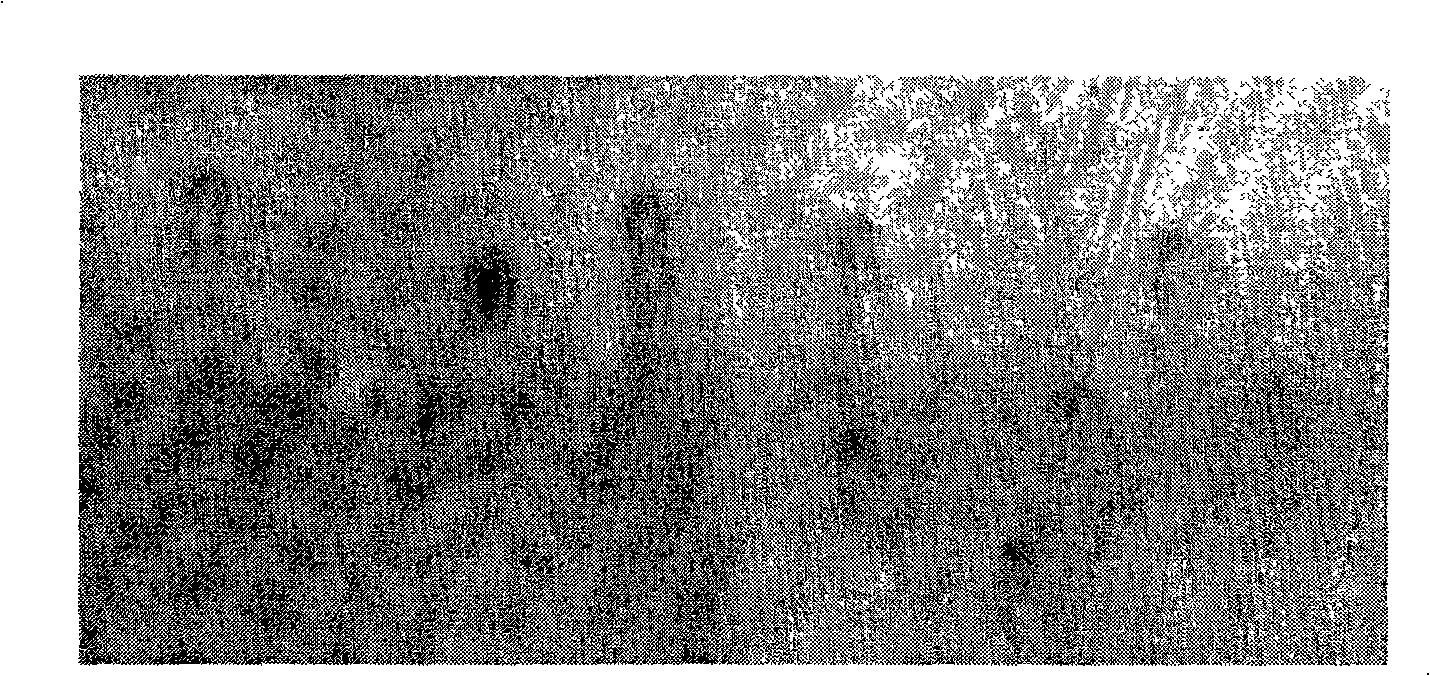 Functional ceramic powder material , preparation and use thereof