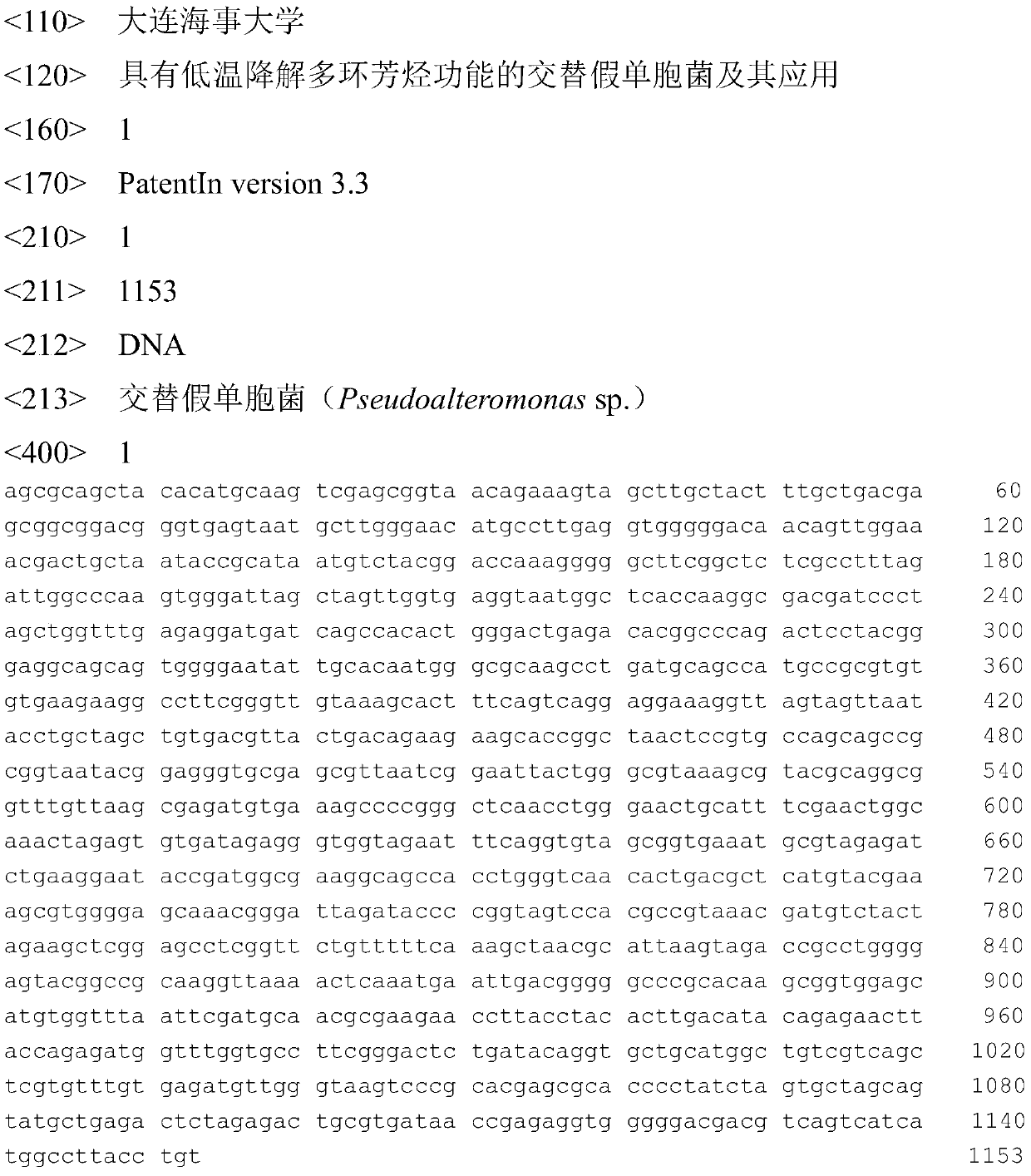 Pseudomonas alternata with the function of degrading polycyclic aromatic hydrocarbons at low temperature and its application