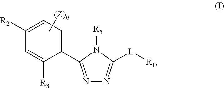 Triazole compounds that modulate HSP90 activity