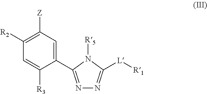 Triazole compounds that modulate HSP90 activity