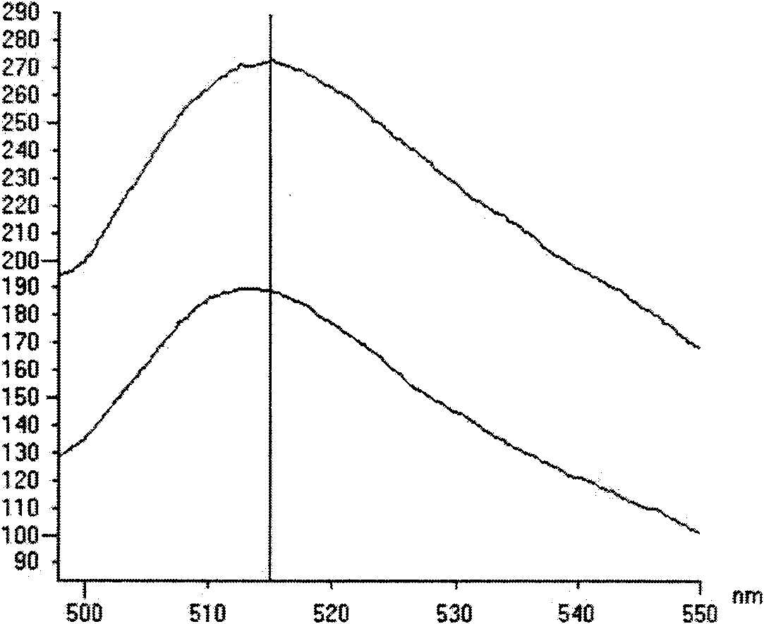 Method for measuring sortase based on yeast surface display