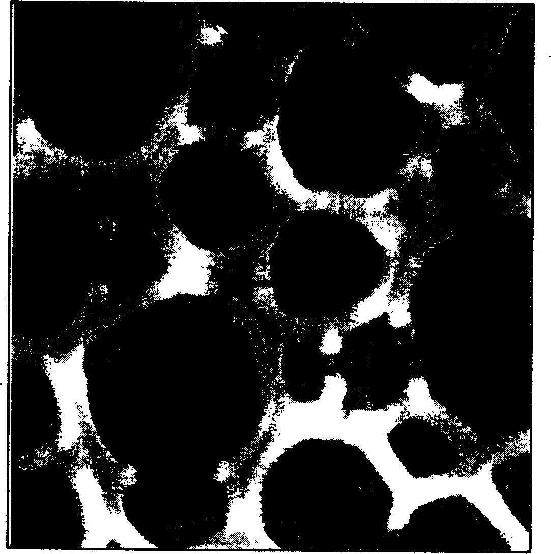 Method for preparing super-amphiphobic micro-nano film on metal surface