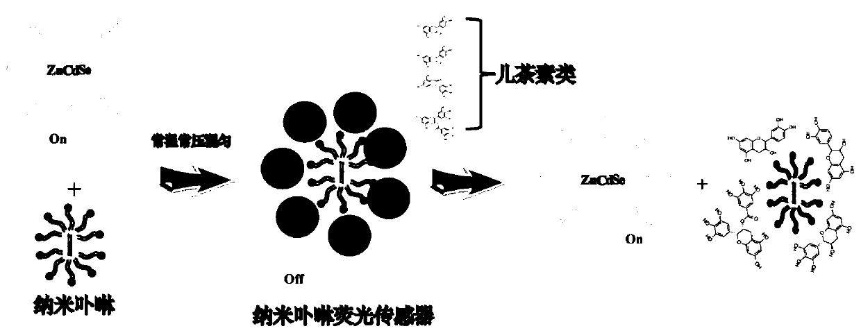 Method for quantitative determination of catechins