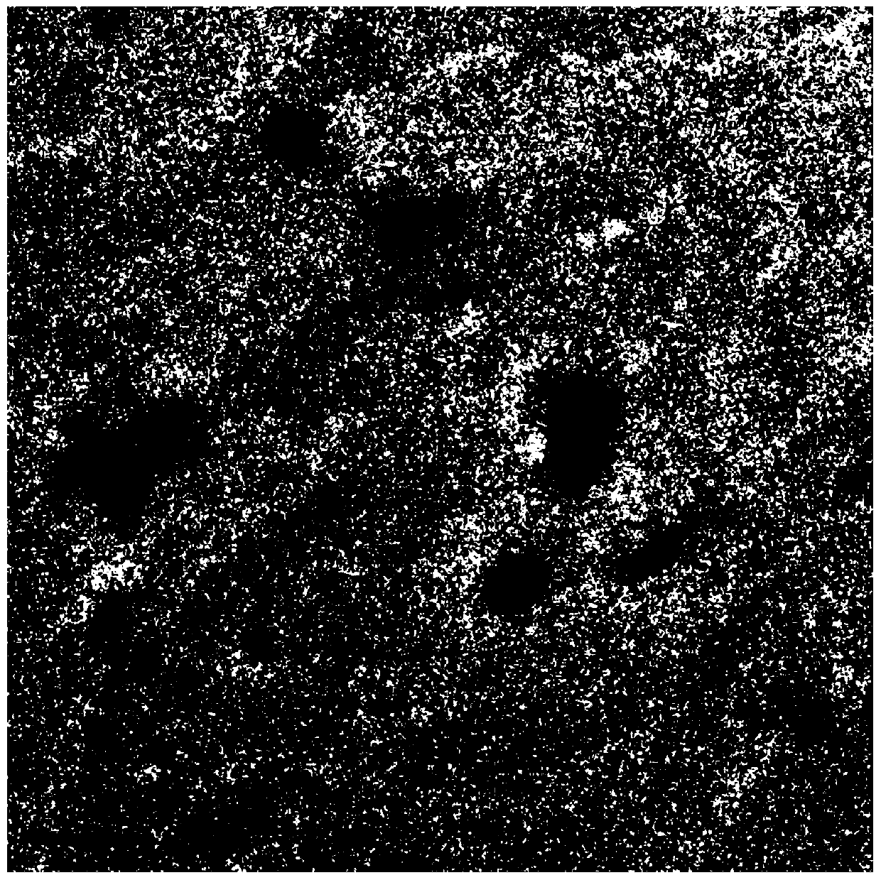 Method for quantitative determination of catechins