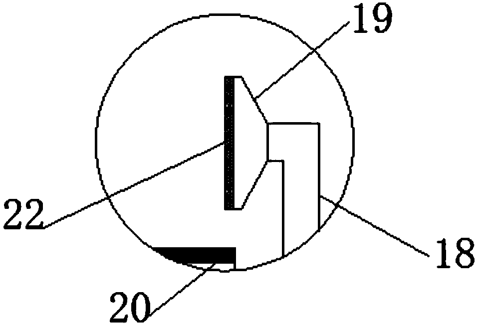 Conveyor for grain processing