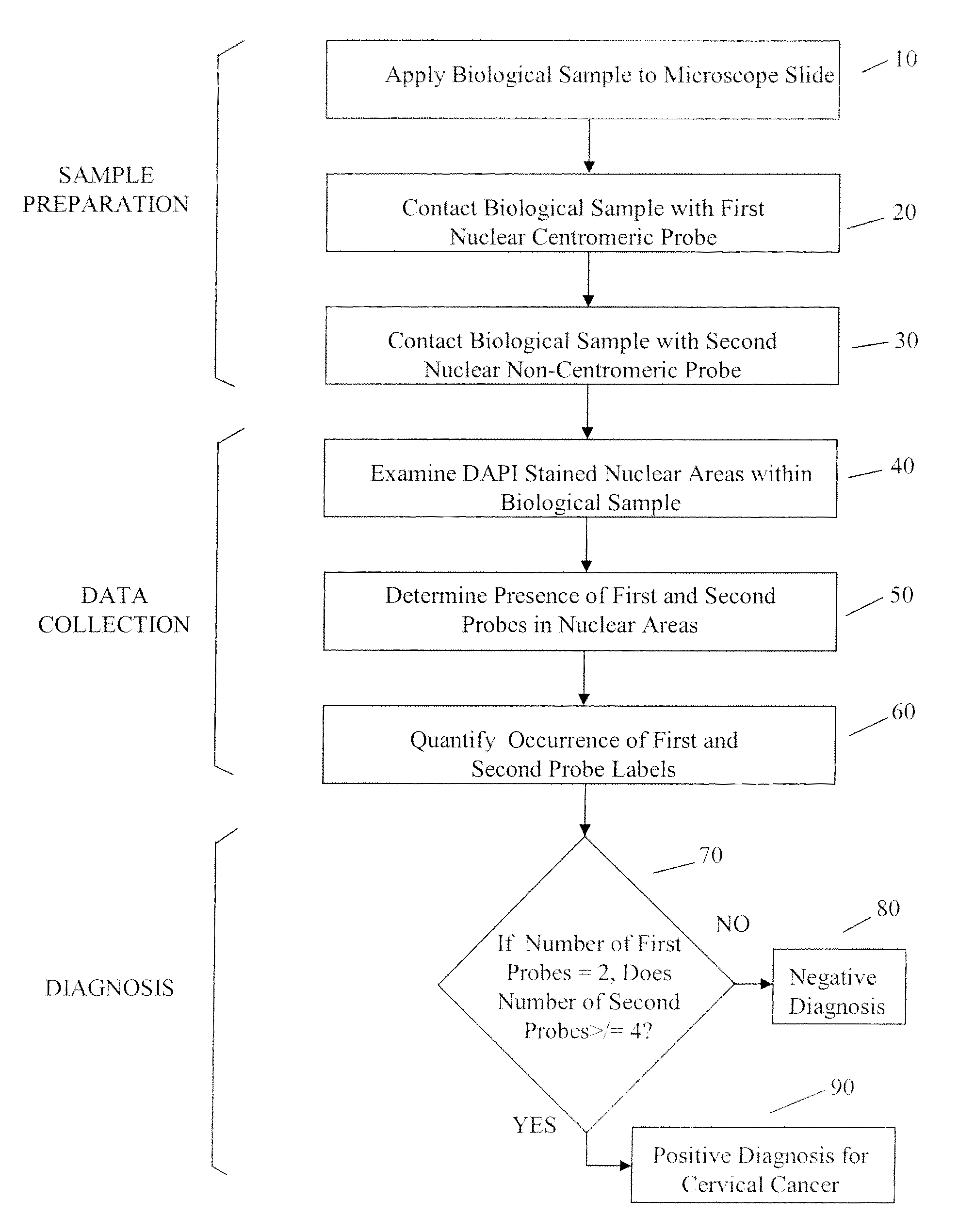 Automated method for detecting cancers and high grade hyperplasias