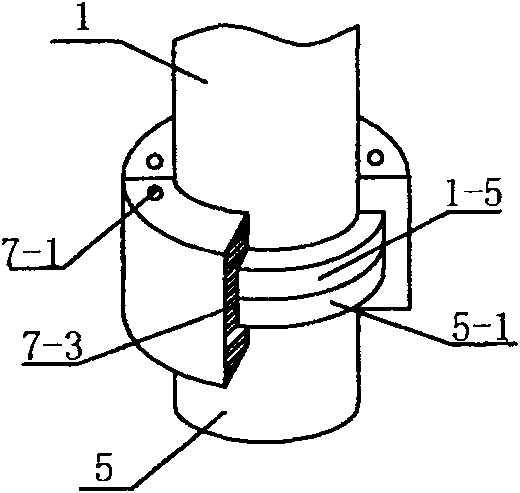 Transfiguration piston pump