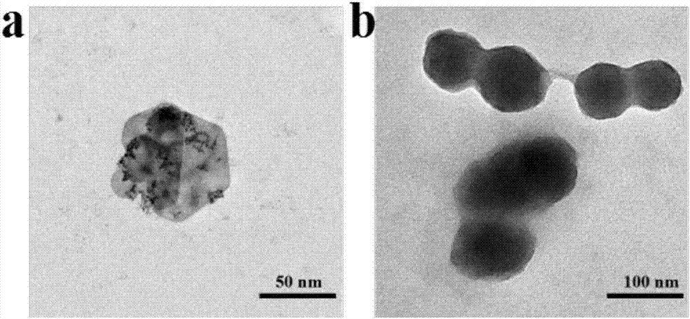 Dual imaging guided photo-thermal therapy multifunctional nano hybrid and preparation method