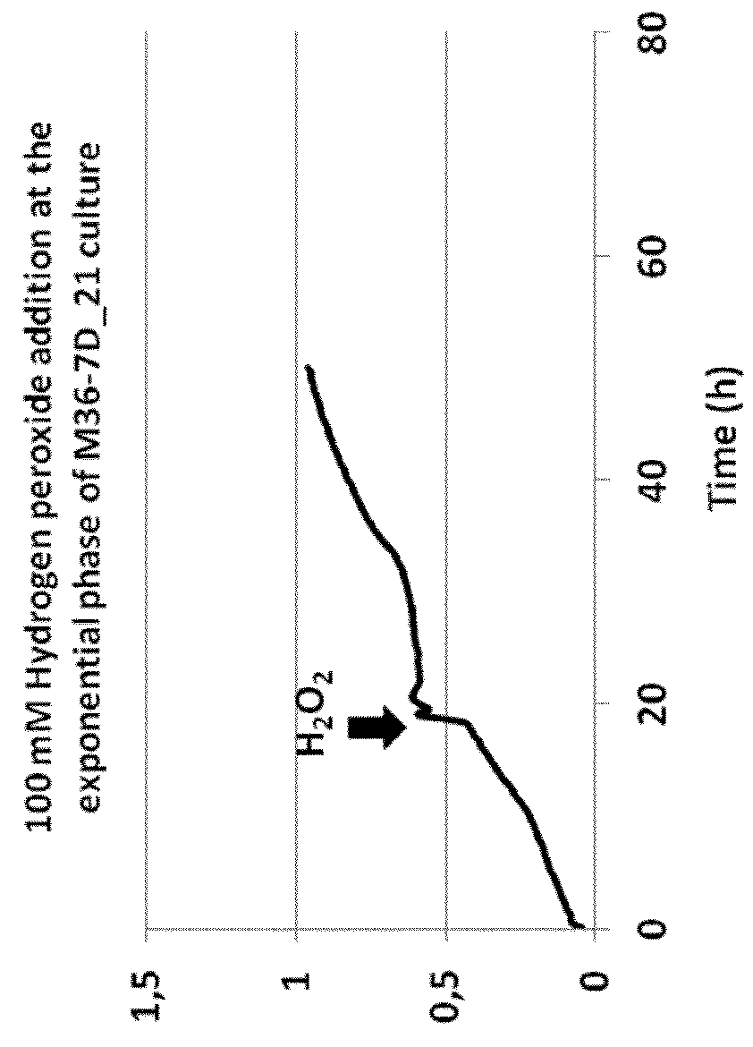 Process for culturing deinococcus bacteria