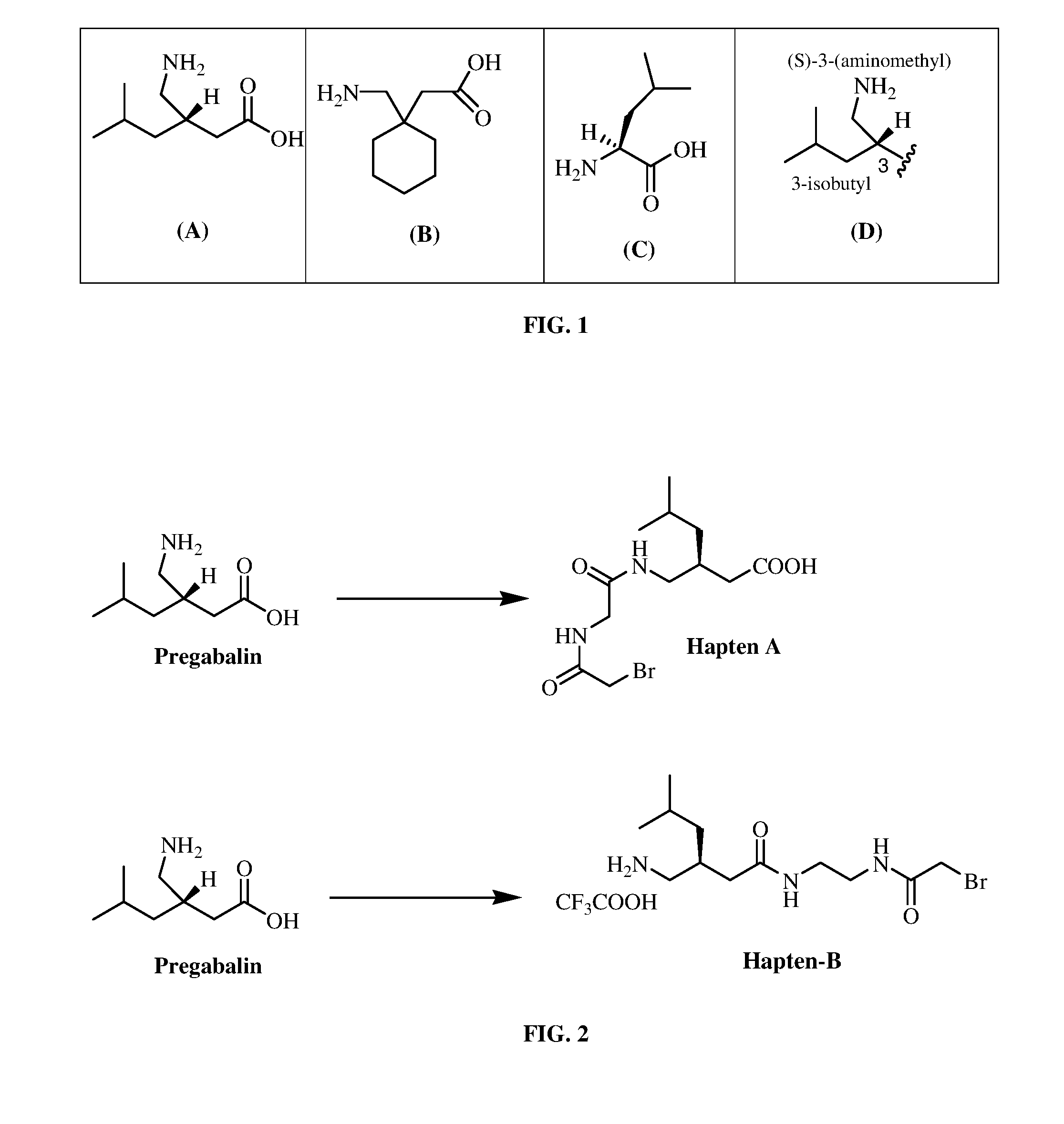 Pregabalin immunoassays