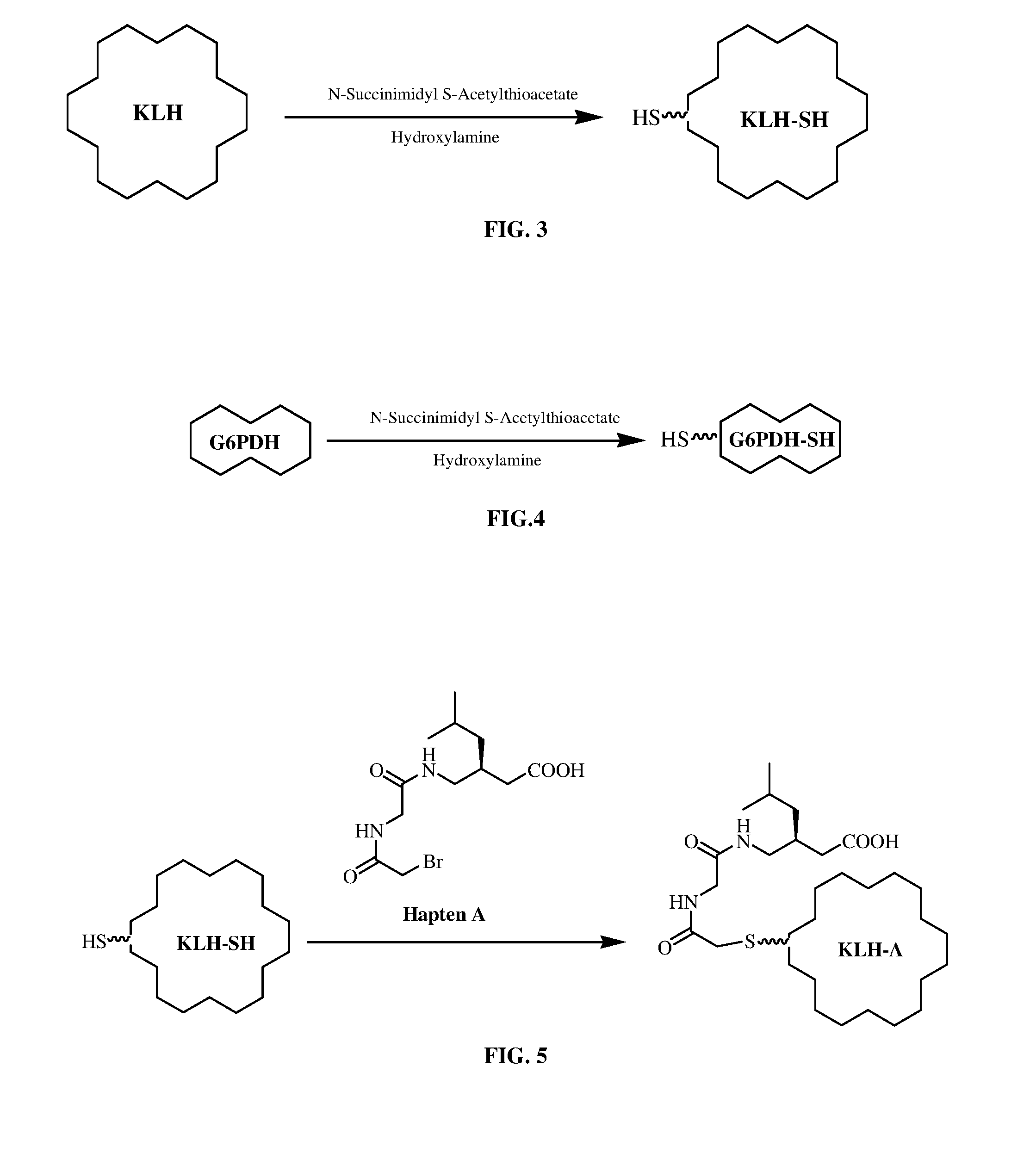 Pregabalin immunoassays