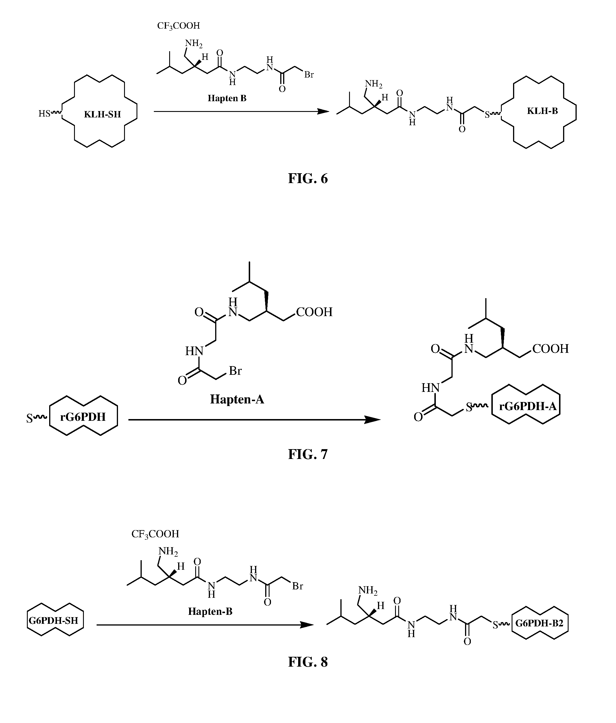 Pregabalin immunoassays