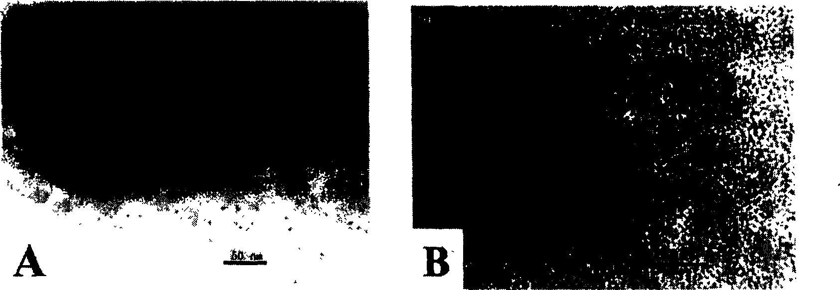 Method for preparing platinum catalytic electrode