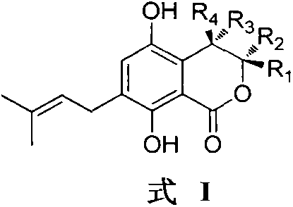 Isocoumarin compound as well as preparation method and application of isocoumarin compound as natural marine organism antifouling agent