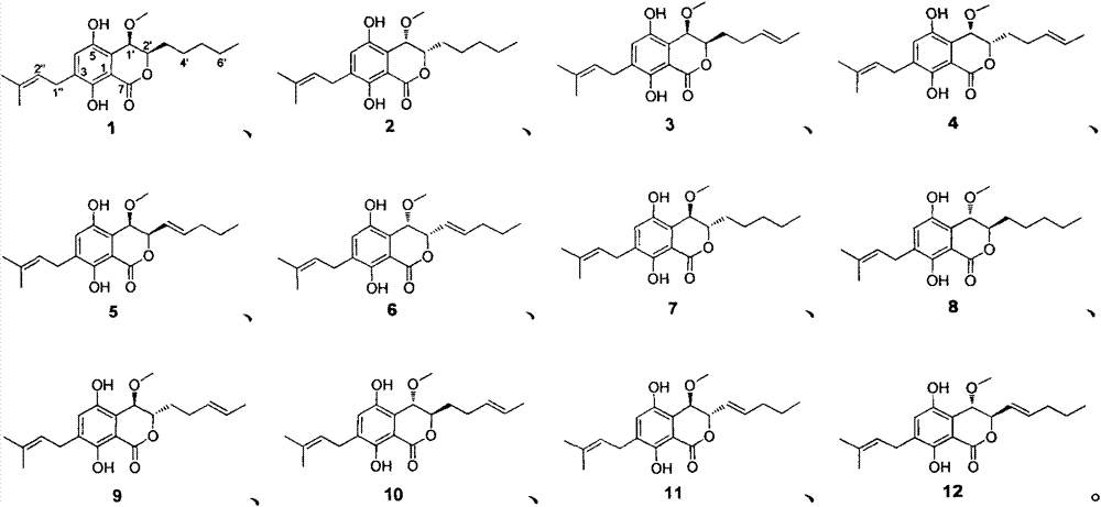 Isocoumarin compound as well as preparation method and application of isocoumarin compound as natural marine organism antifouling agent