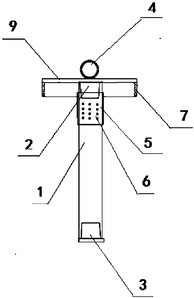 Volatile attractant applied to citrus fruit flies and application thereof