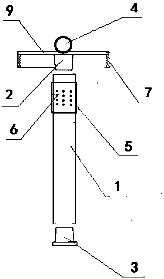 Volatile attractant applied to citrus fruit flies and application thereof