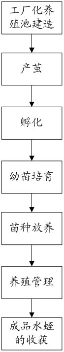 Leech industrial soilless three-dimensional high-efficiency culture method