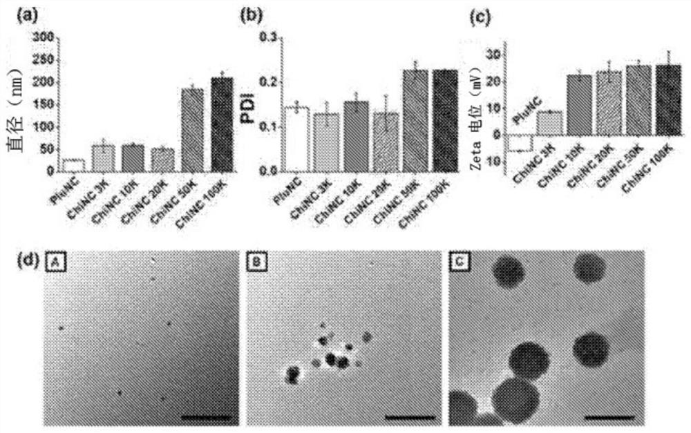 Nanocapsules coated with chitosan and use thereof