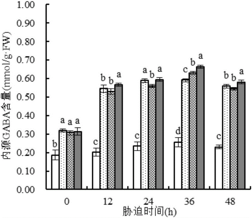 Application of Gamma-aminobutyric acid in enhancing salt-stressed maize photosynthesis and regulating endogenous hormone