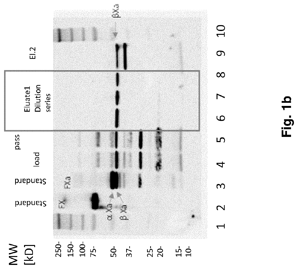 Fx activation process and its use in the preparation of a fxa composition