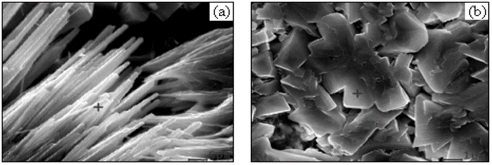 Calcium phosphate composite material for filling root canal and preparation method thereof