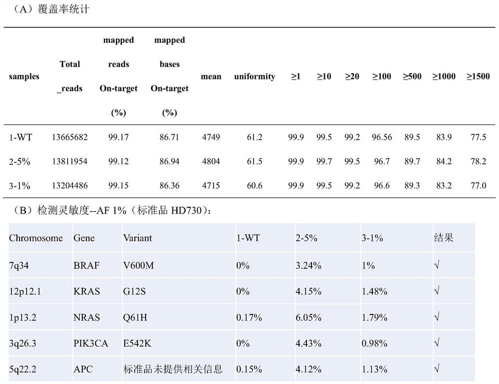 A hybridization capture kit and method for detection of 16 gene hotspots in individualized medicine for tumors