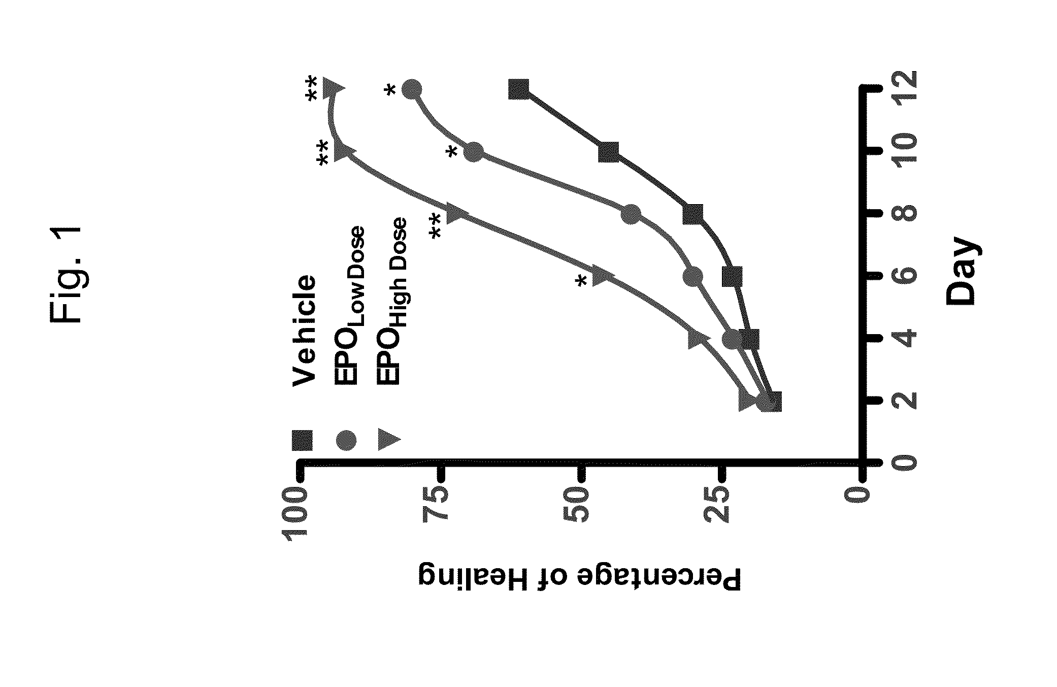 Erythropoietin and fibronectin compositions for therapeutic and cosmetic applications