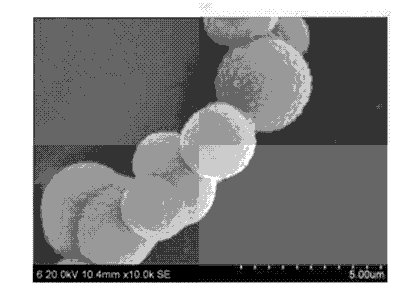 Hydrothermal preparation method for NiS2 with controllable shape