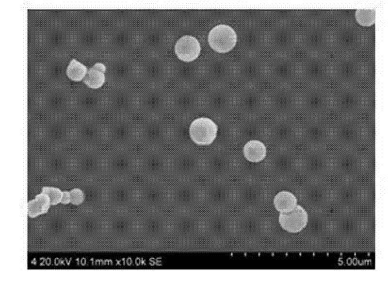 Hydrothermal preparation method for NiS2 with controllable shape