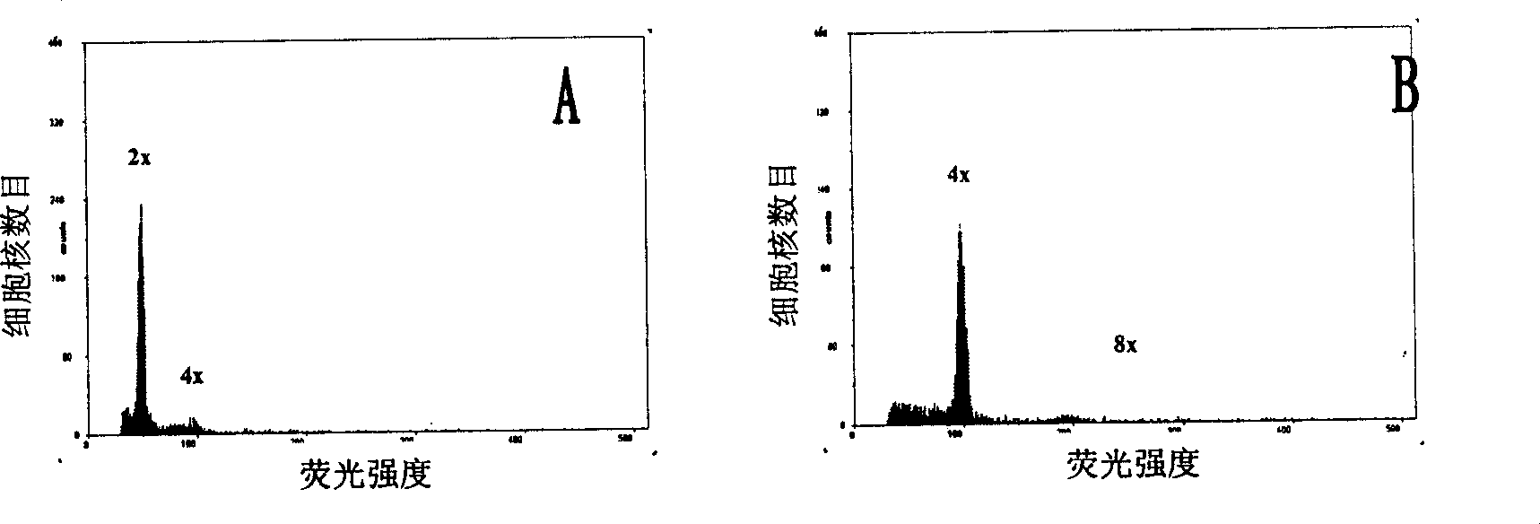 Method of establishing polyploiding system for Dongzao date