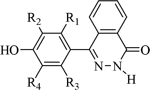 Phthalaznone-containing poly(aryl ether nitrile) end-capped with maleimide and preparation method thereof