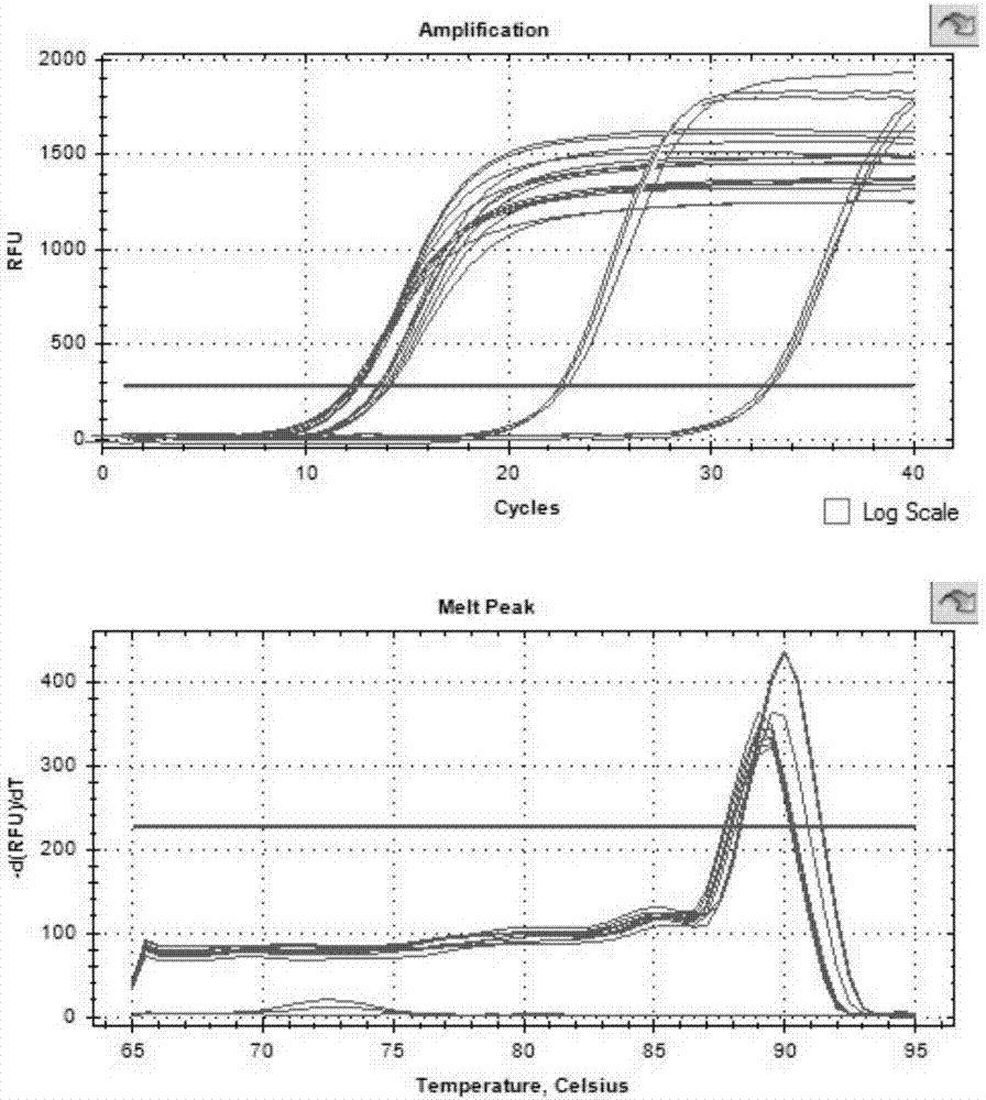 Method for extracting DNA of mold spores with mechanical breaking method