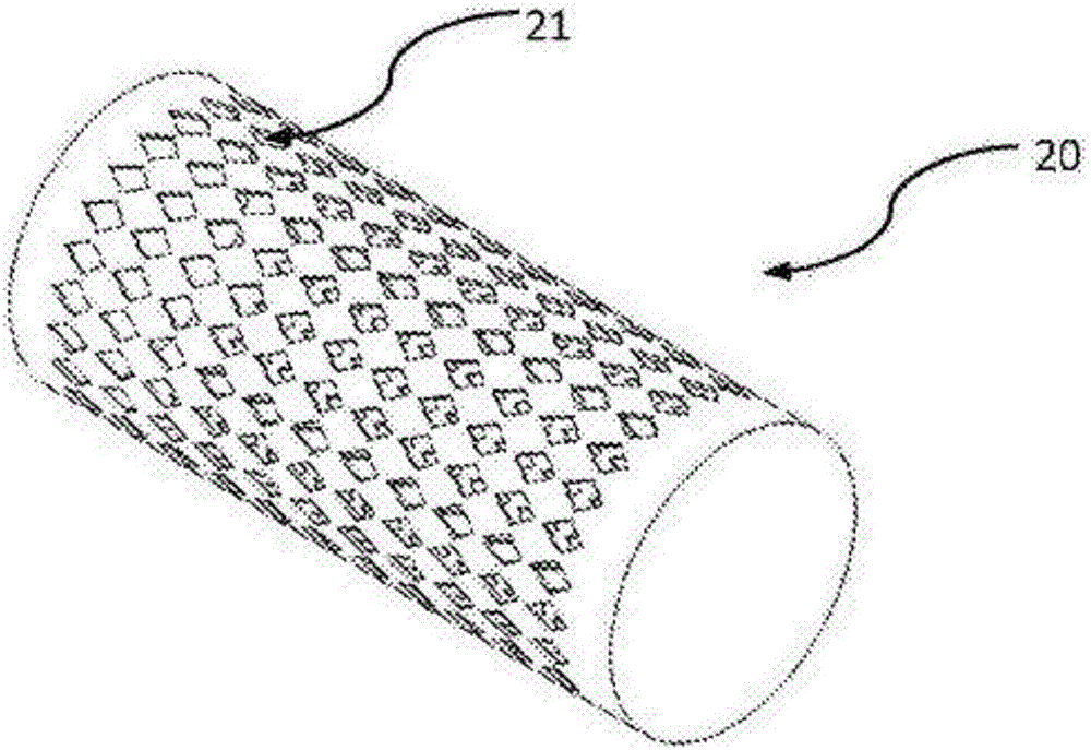 Preparation method of antrodia camphorata conidial powder and antrodia camphorata grain powder