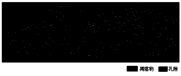 Method for measuring space structure parameters through scanning image of forest litter