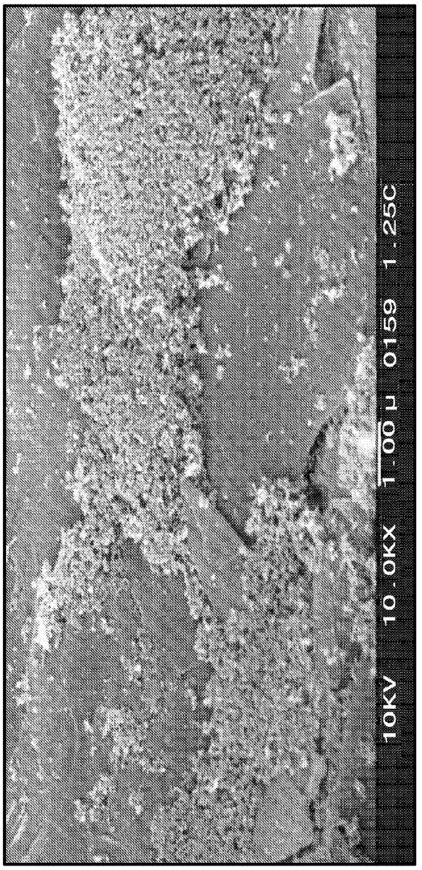 Heat-emitting graphite material comprising amorphous carbon particles and a production method therefor